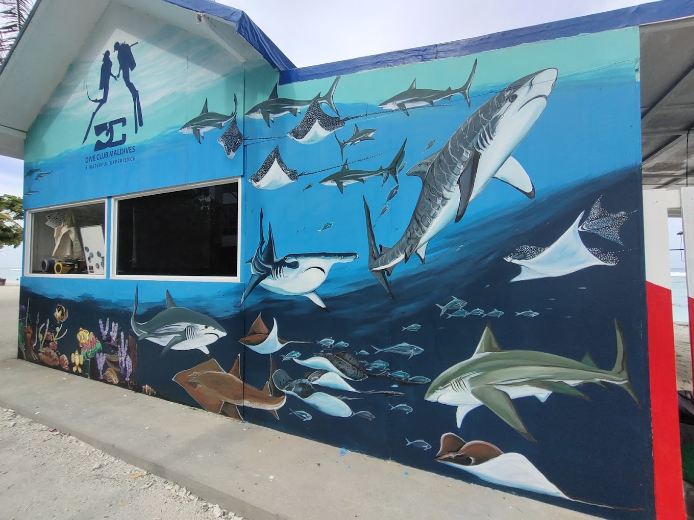 Dive Club Hulhumale