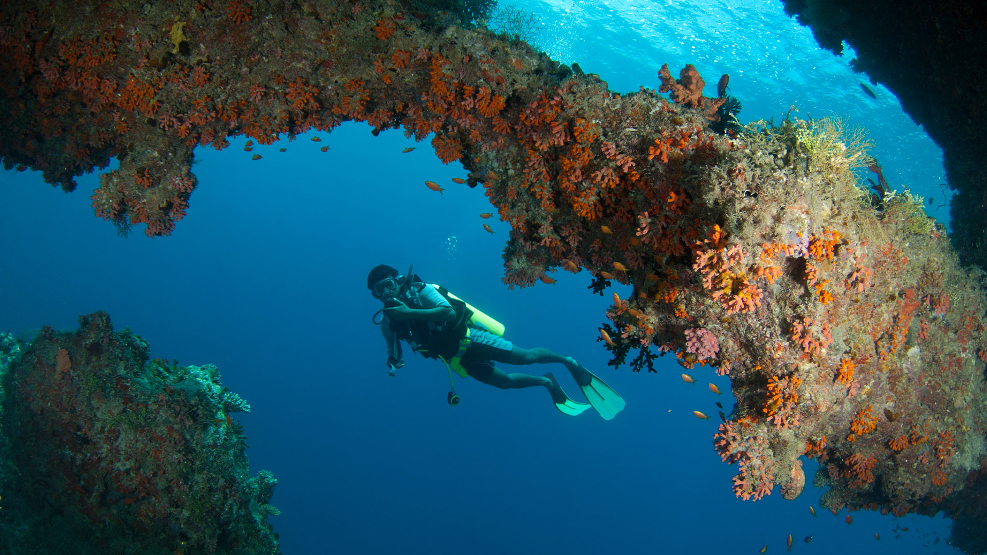 Dive Club Hulhumale