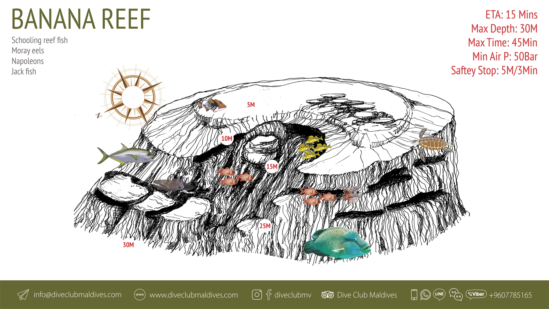 Banana Reef