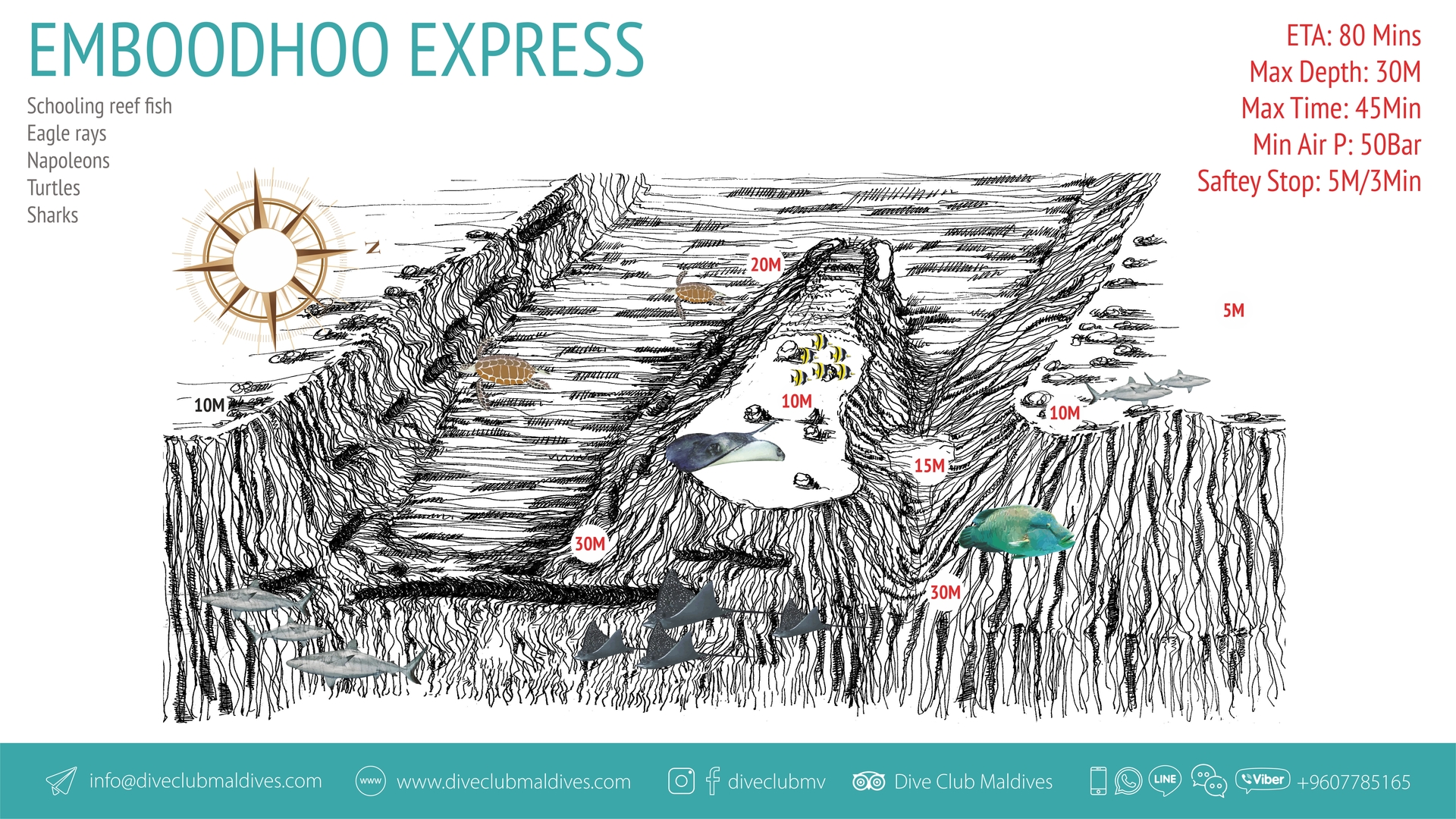 Emboodhoo Express
