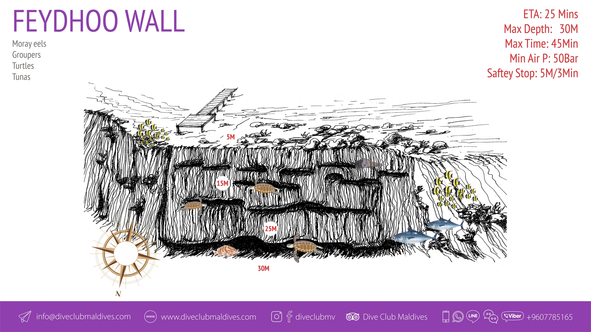 Feydhoo Wall