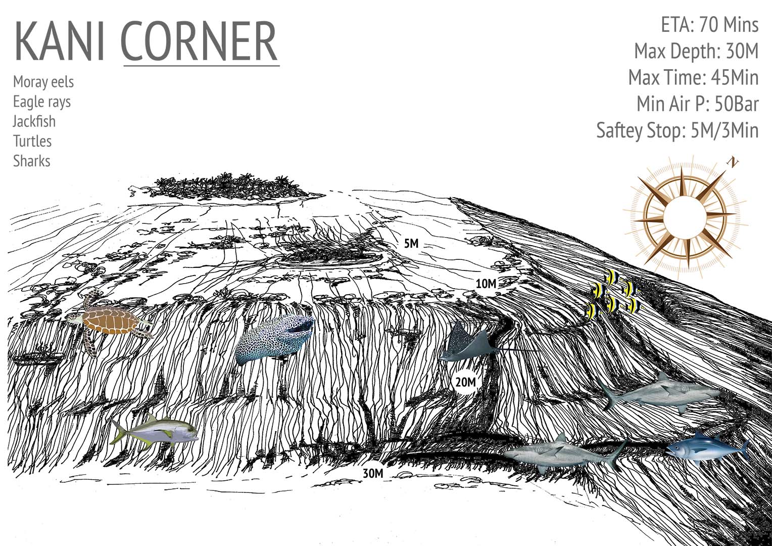 Kani Corner