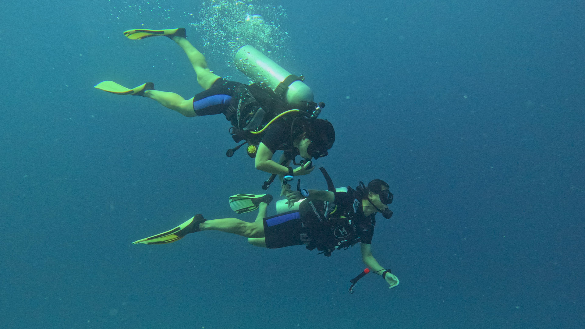 PADI Scuba Diver Course