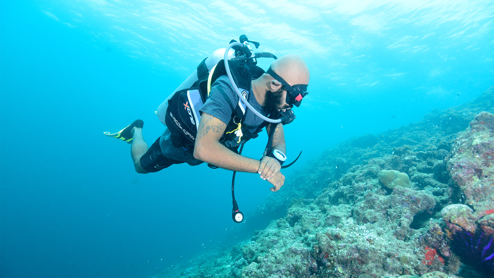 PADI Open Water Diver
