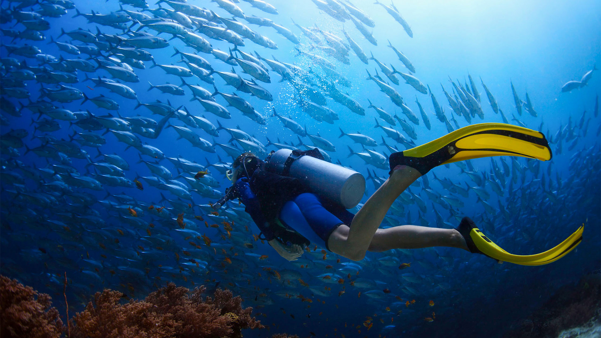 PADI Adventure Diver