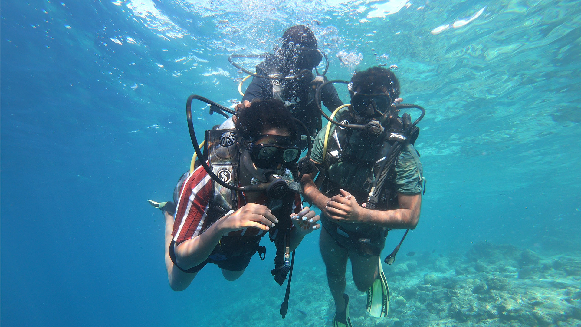 PADI Open Water Diver