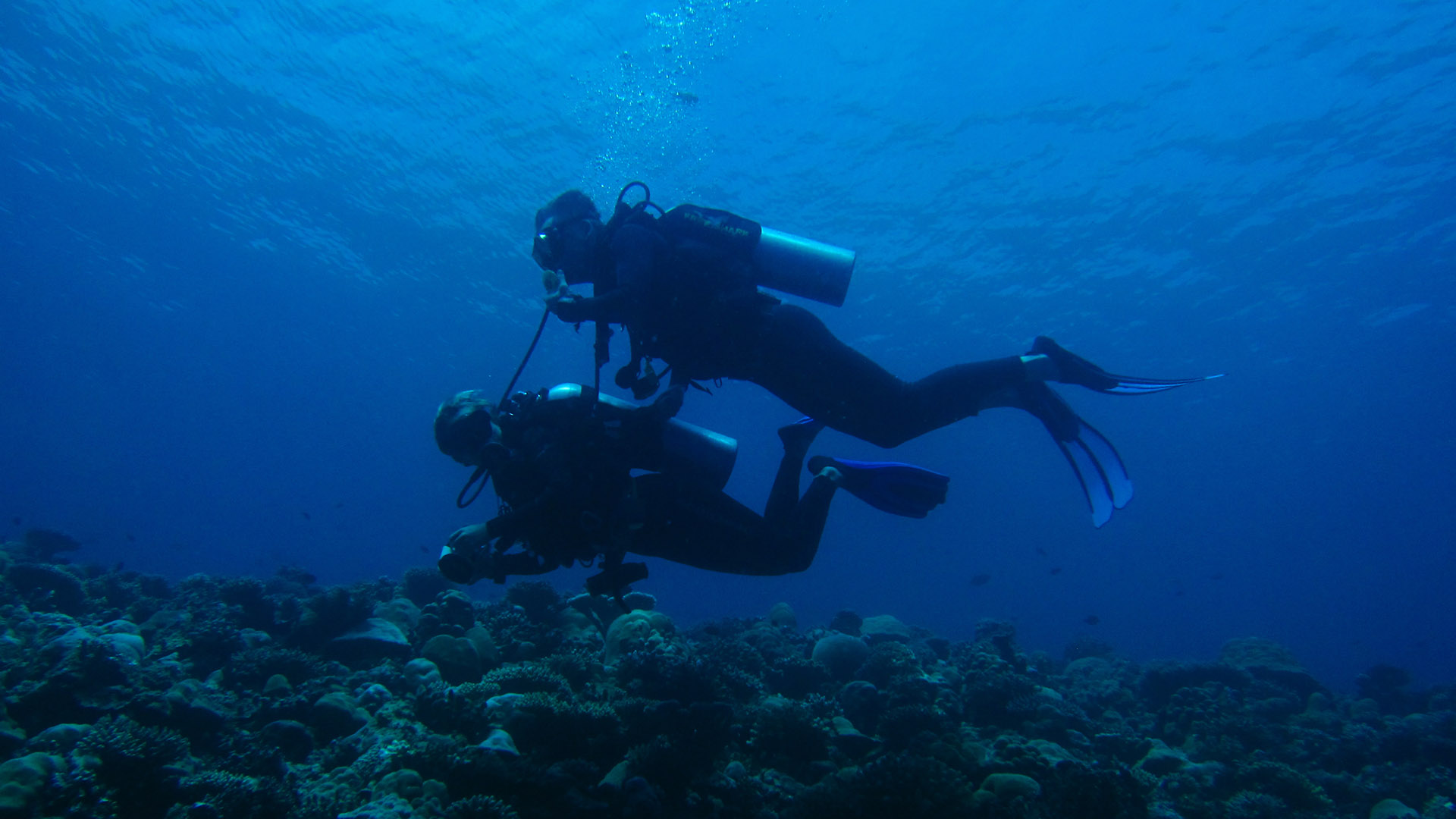 PADI Advanced Open Water Diver Course