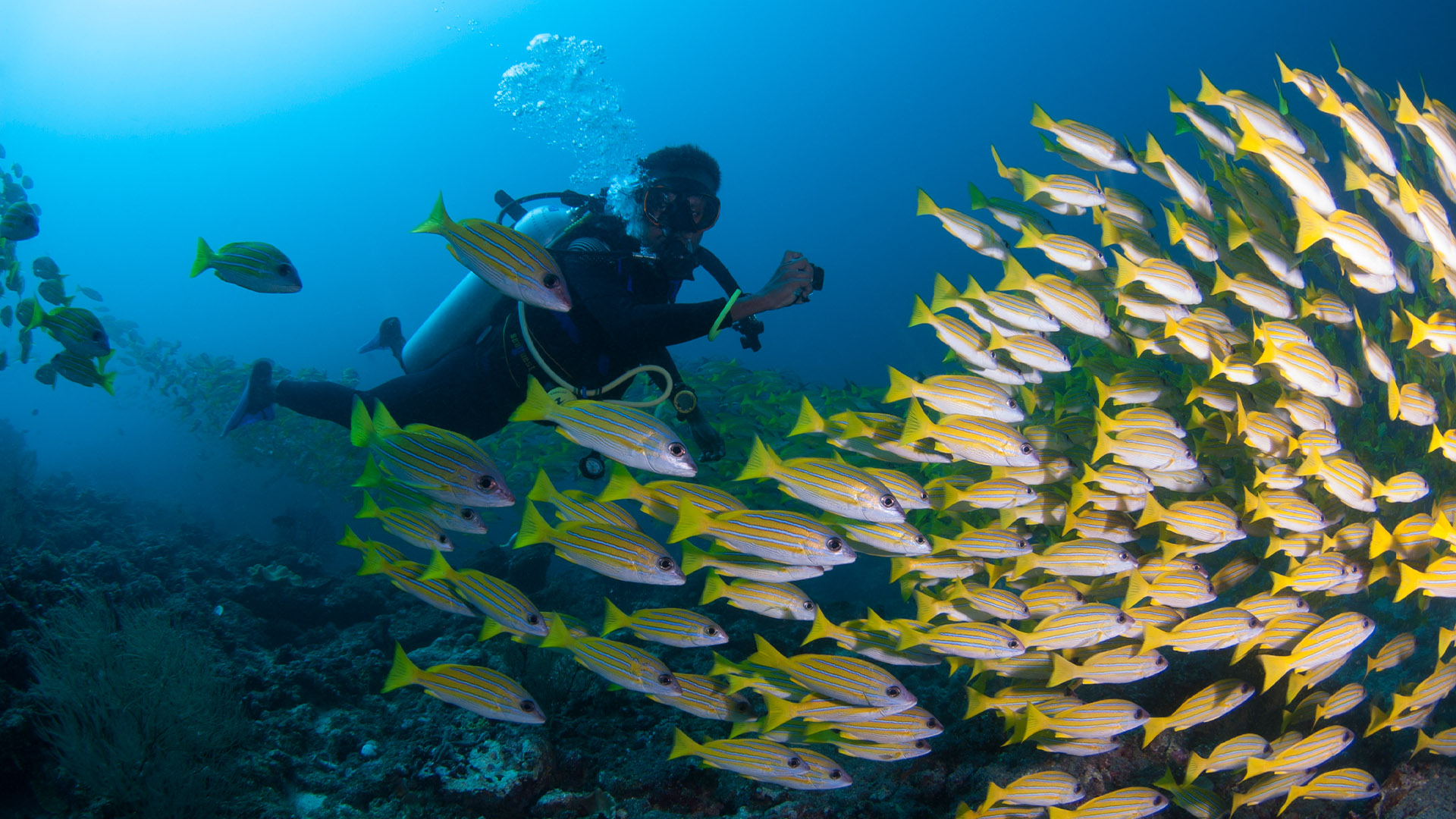 PADI Adventure Diver