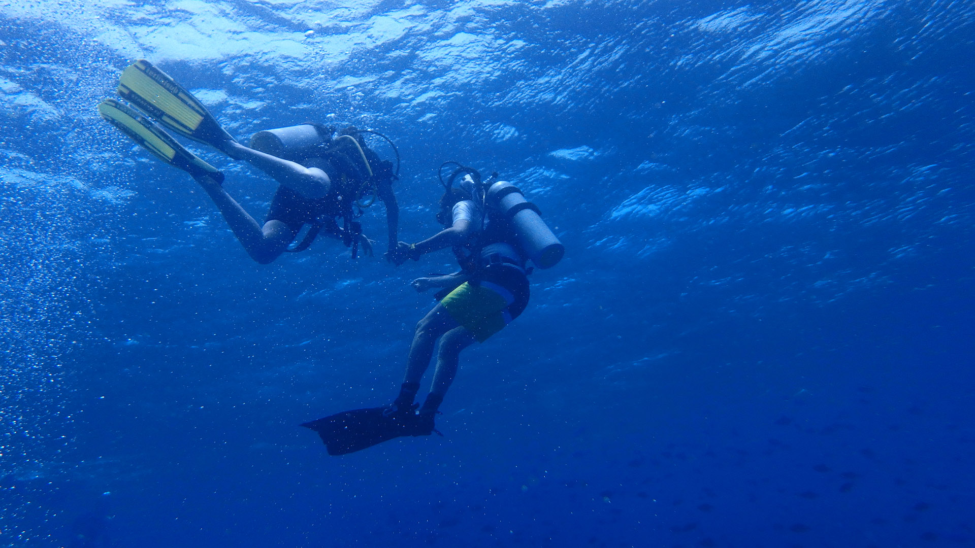 PADI Scuba Diver Course