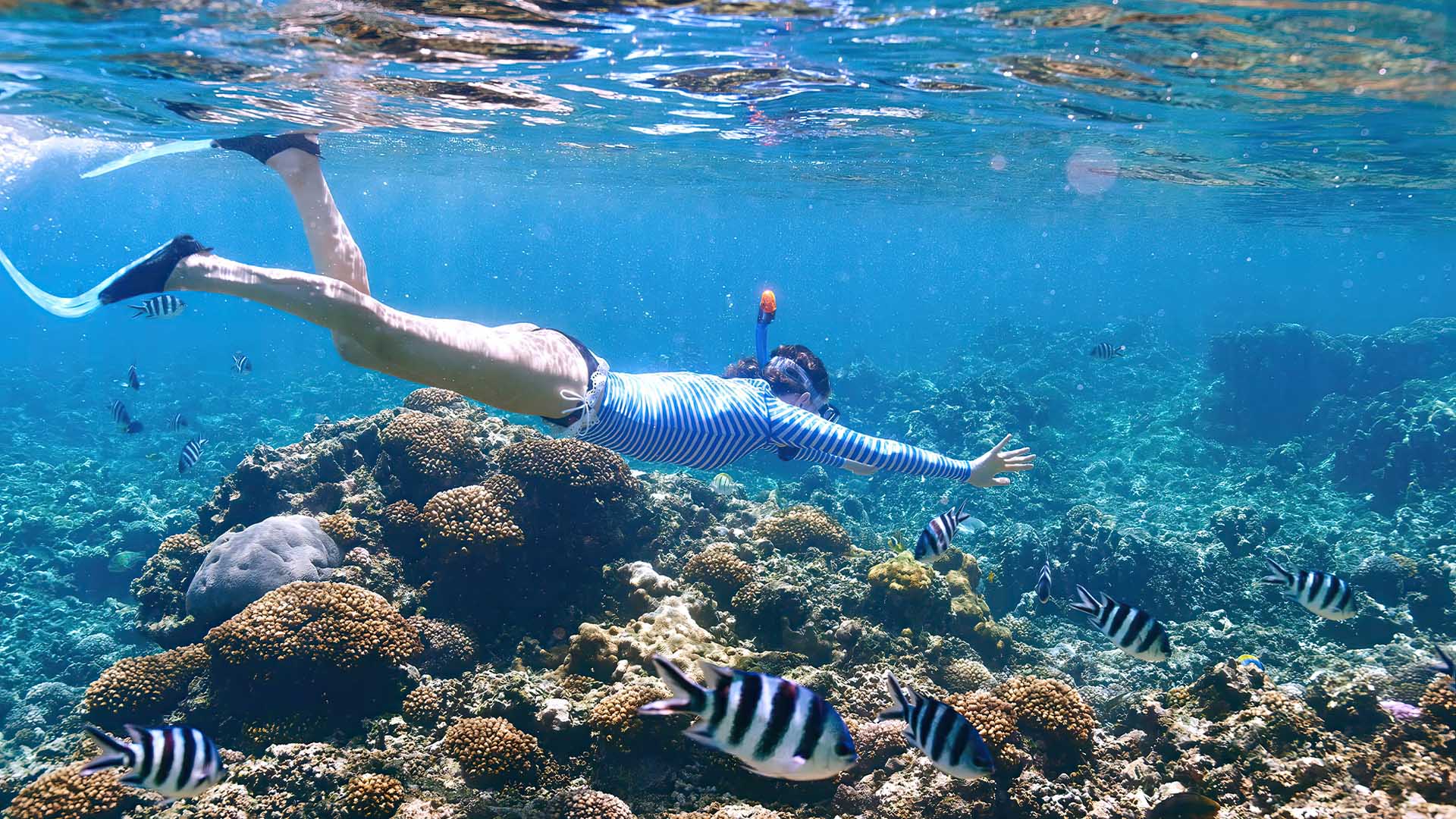 Half Day Snorkeling