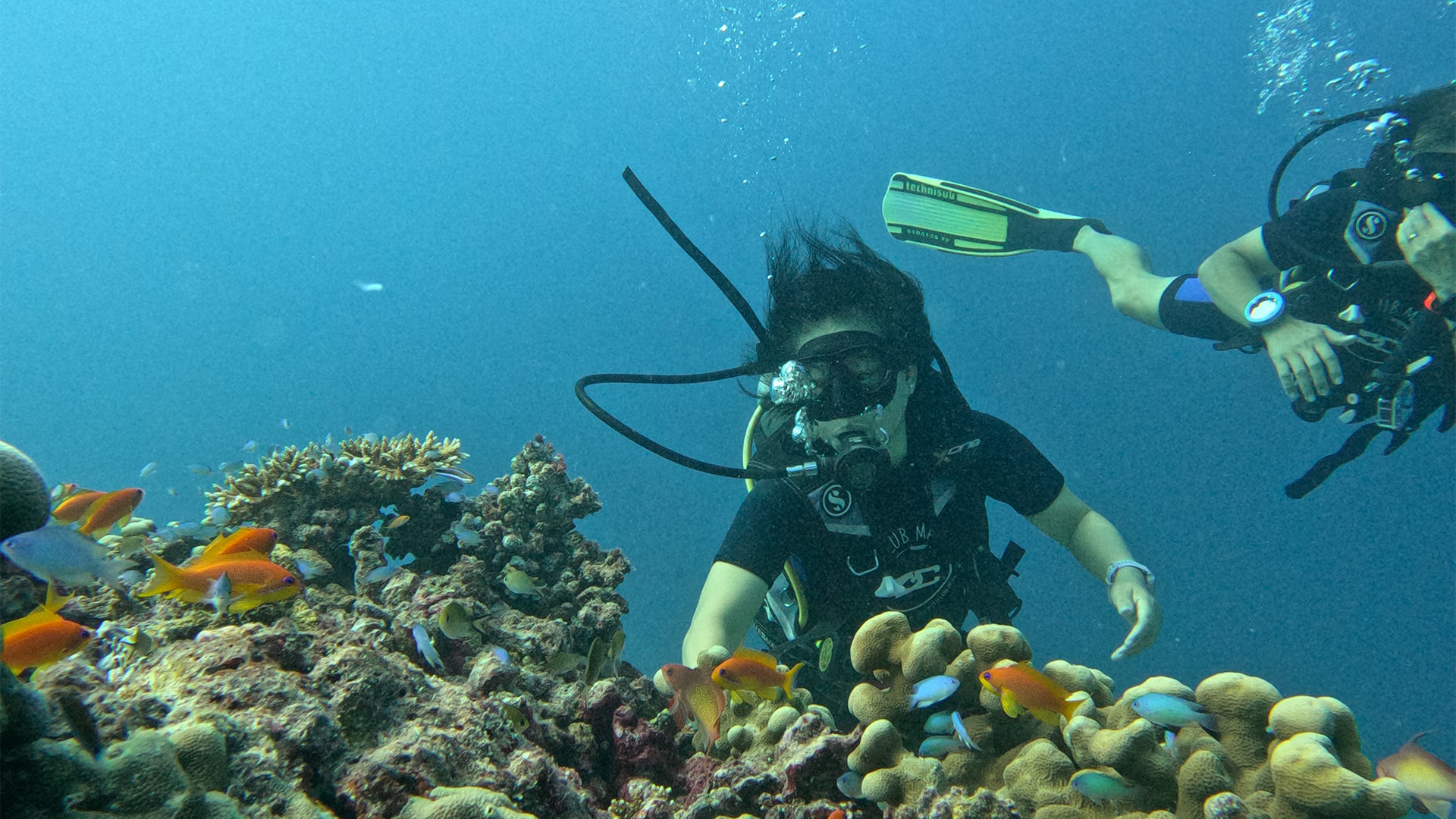 Daily Dive Trips - 3 Boat Dive