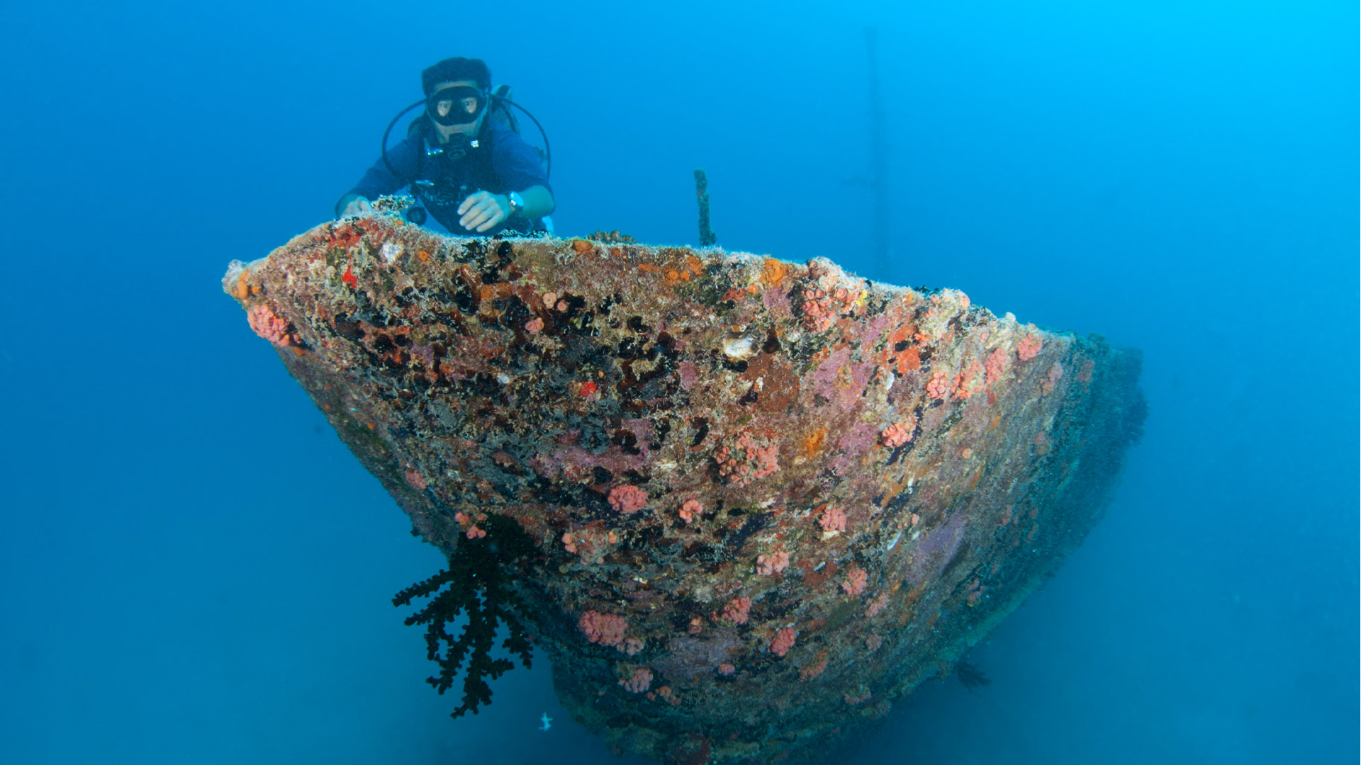 Wreck Dive