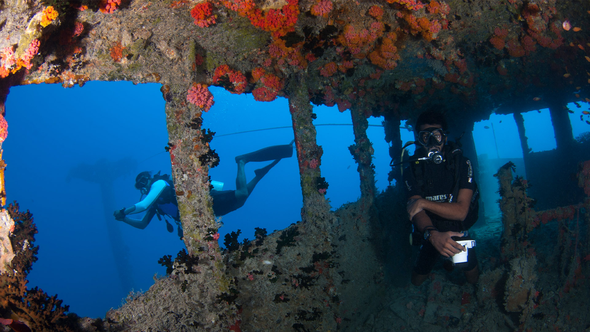 Wreck Dive