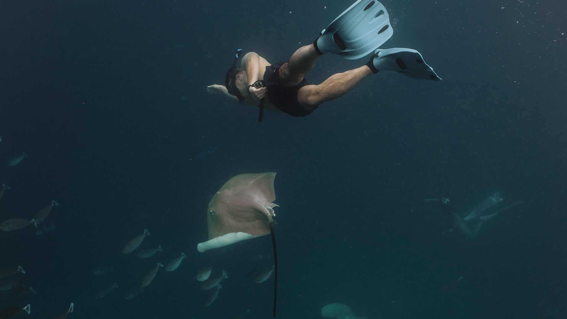 Stingray Snorkeling