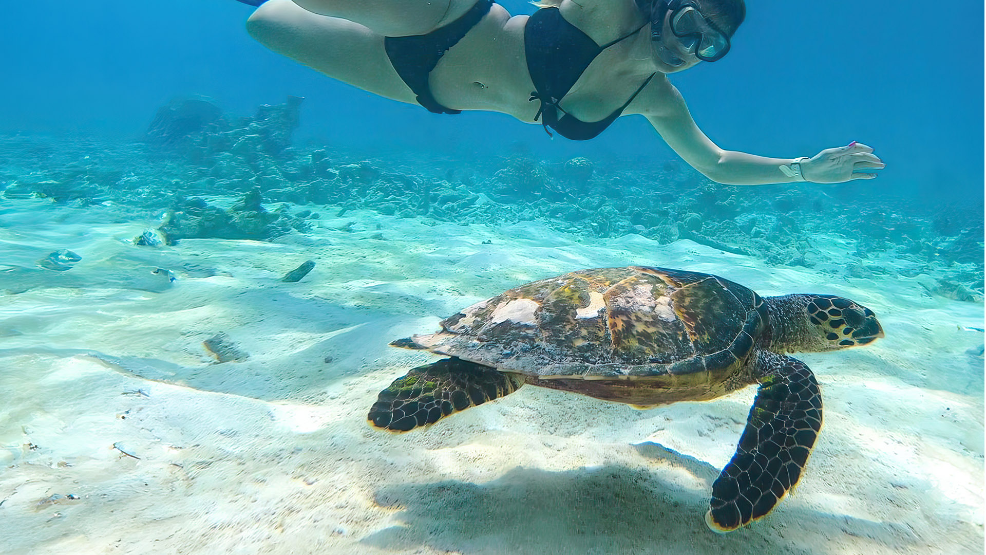 Half Day Snorkeling